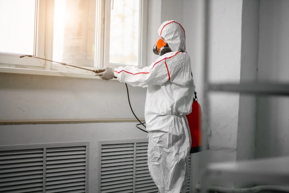Professional mold remediation services in Ben Wheeler, TX